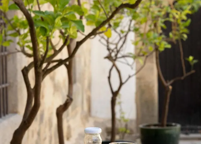 호텔 파라도르 데 4*